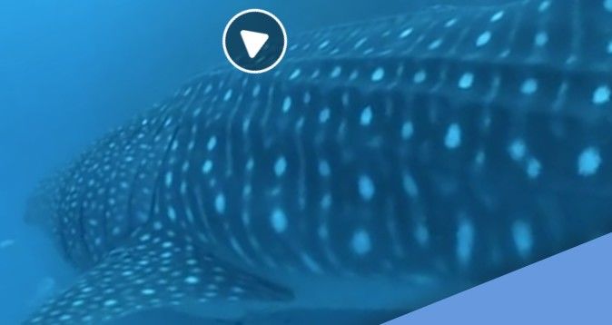 04f0a7d5-2532-4141-b051-a2ec93fe7524