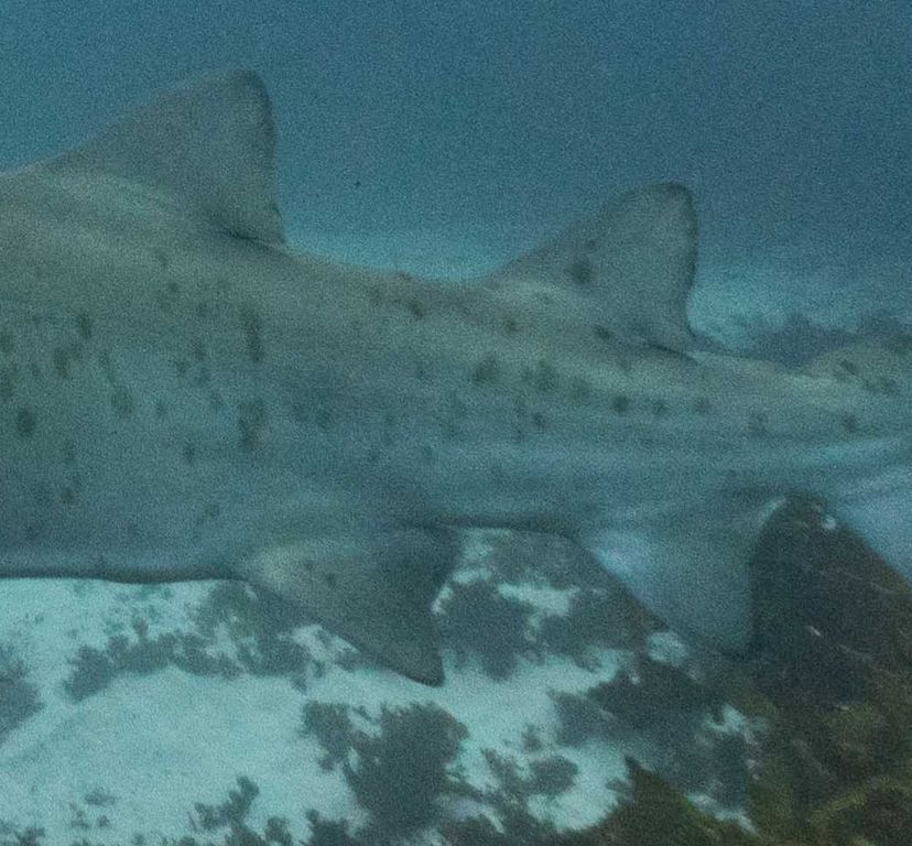 4dd7f654-6330-4fe6-9ea7-0fa788464f57