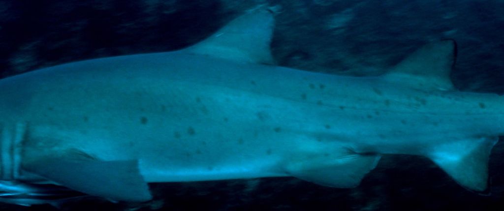 d471be27-fb68-4134-a53a-50ad2a1cbb56