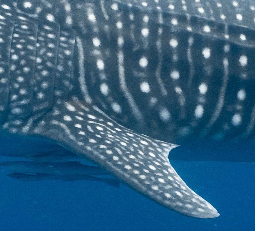 fd89cc62-42cb-4a6d-9e9c-68c6bafc2195