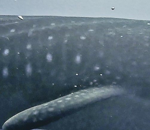 40be85be-6e85-408c-b1f3-ee5f40b00bcb