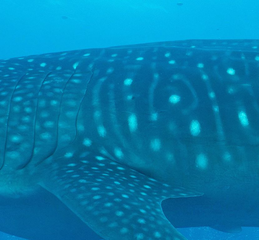 40be85be-6e85-408c-b1f3-ee5f40b00bcb