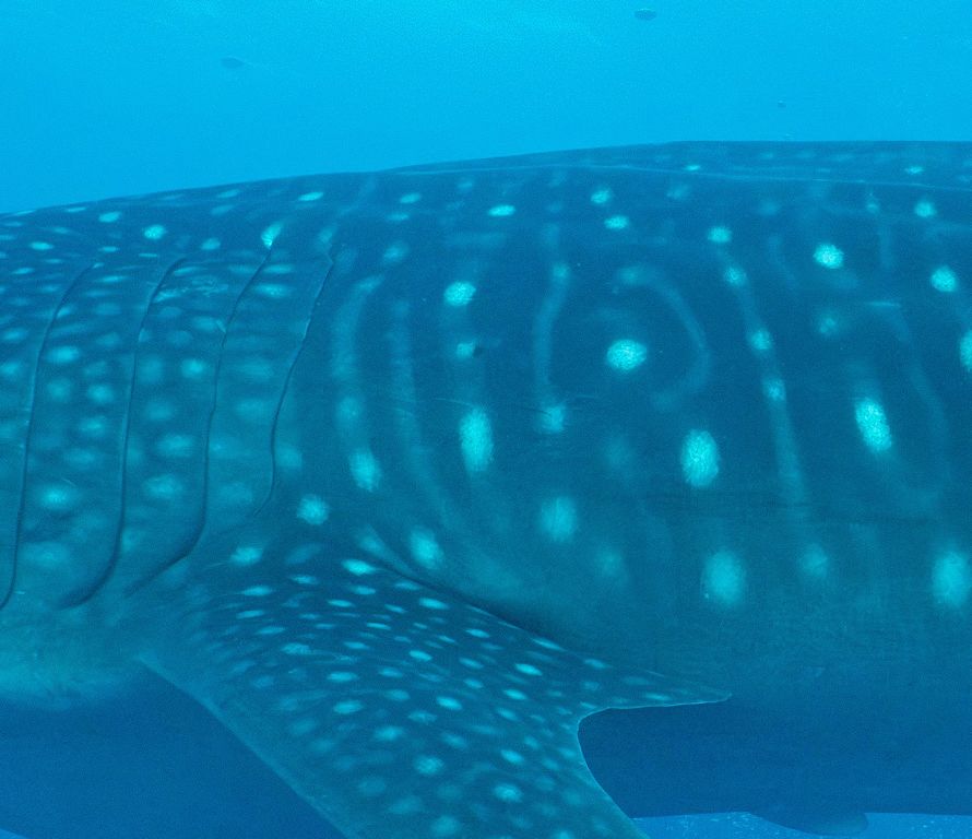 40be85be-6e85-408c-b1f3-ee5f40b00bcb