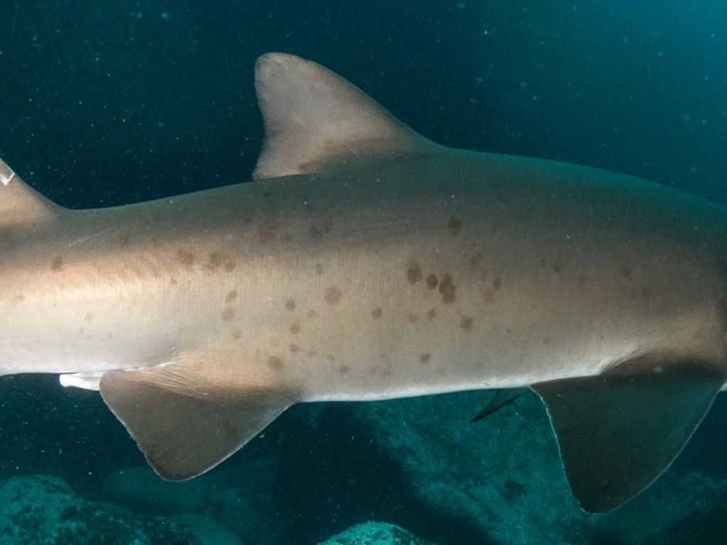 82a33298-e55c-4a5b-bd5c-6b86f99e53cd