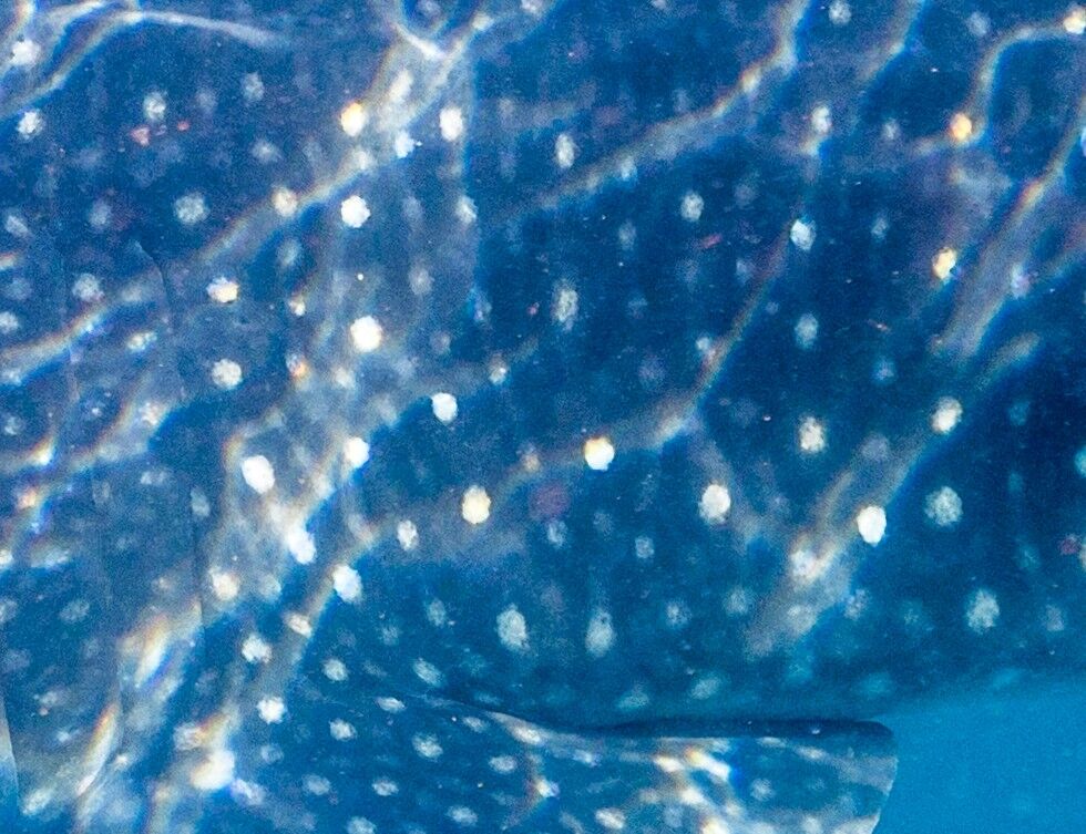 b9a3a334-0722-479b-8be1-5e6635b5d35e