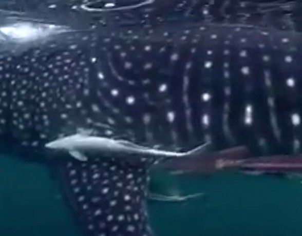 a24c59de-afef-4bd6-9df4-b18939cd1463