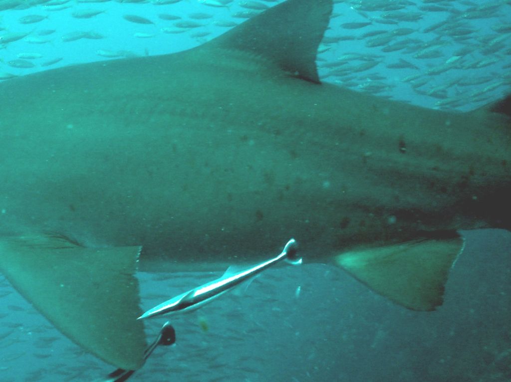 3608328c-7077-4b2a-b899-6c0929aaff54