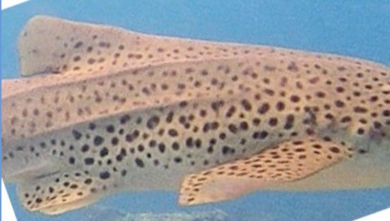 d2688eff-bf93-4e28-b461-272da712e453