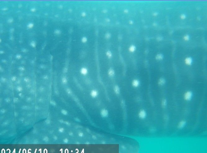 574f7098-e2ad-44f1-928b-2d12f8fd6ea1