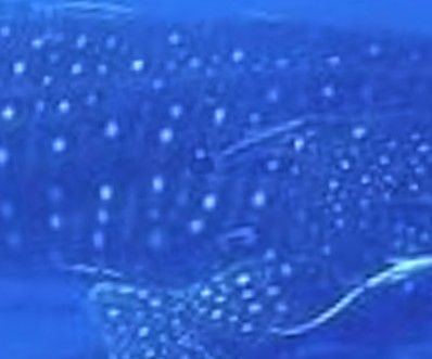 dee28ab0-f64a-4134-9585-501b760c7560