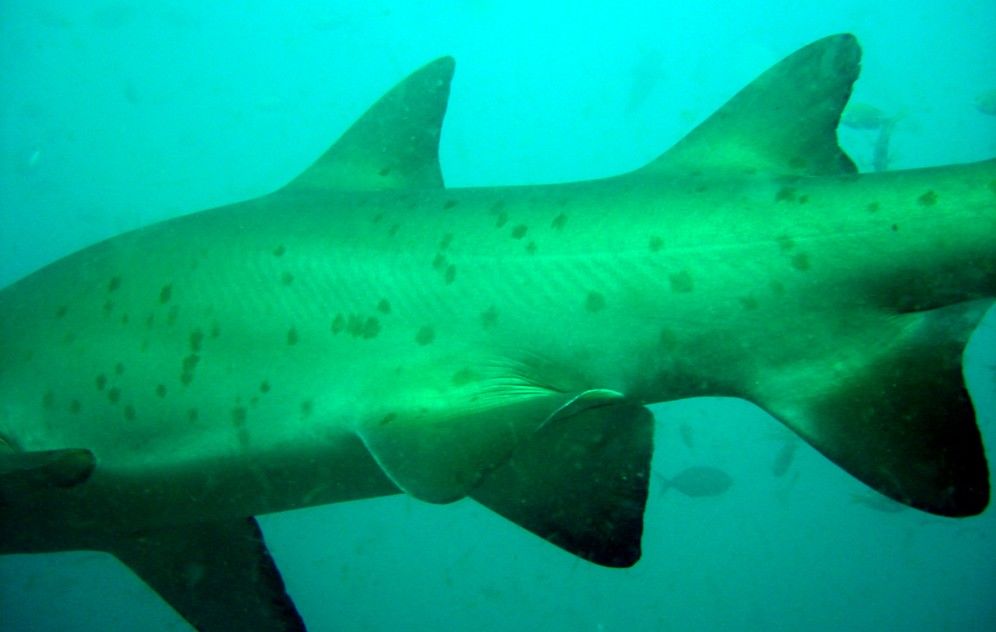 7fcd90ad-918e-41ef-8781-fc3ff49c3d0e