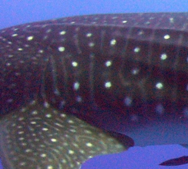 ed8e3f43-48f3-43e2-aba6-f1a39af2d394