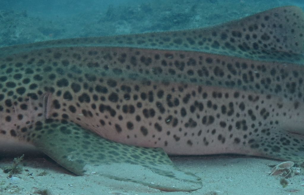 7194c542-8e05-4177-ad5b-851f52f32de1