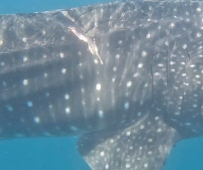 2da45624-440d-40ec-bb4e-598a787d1218