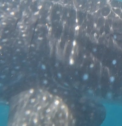 2da45624-440d-40ec-bb4e-598a787d1218