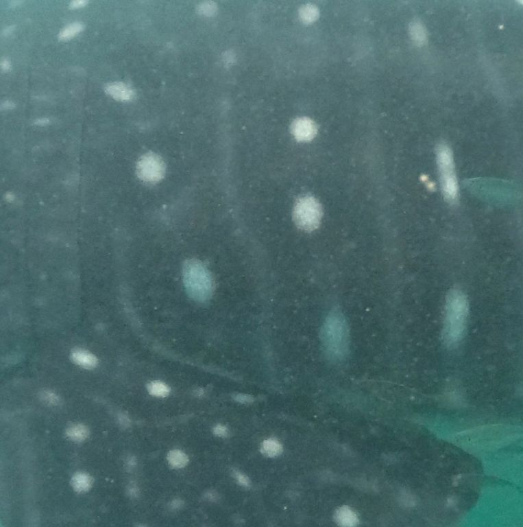 ce668a36-0d53-4d7d-9923-3976e36dd7bb