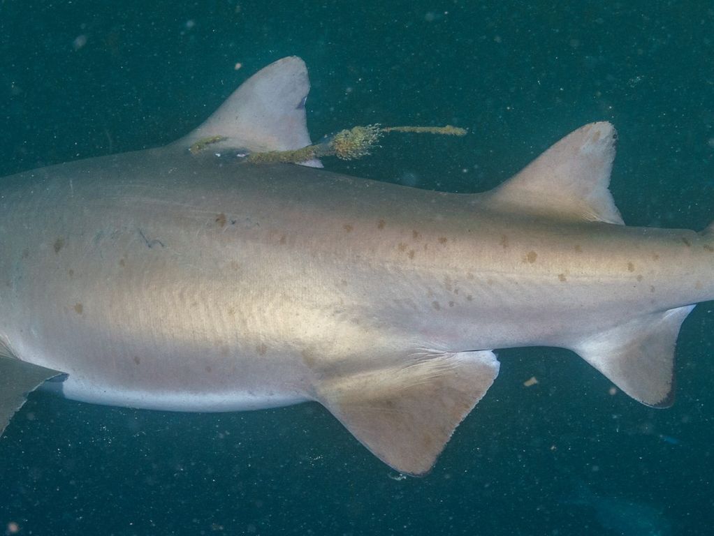 2242ad9b-5f33-432c-898c-14f58480927f