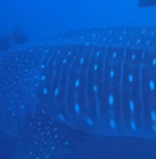 fffa1920-61e1-41c8-889d-1b3e4f7cfbb2