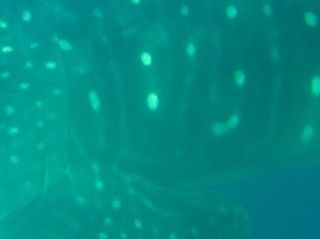 f7a9a8c9-c884-4352-b07a-1b0c4e98a087