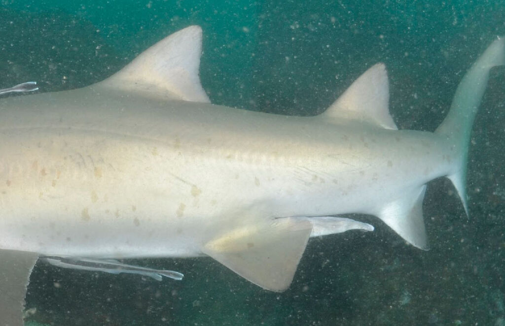 de54a36b-d70a-4050-b8b3-18705261a2b4