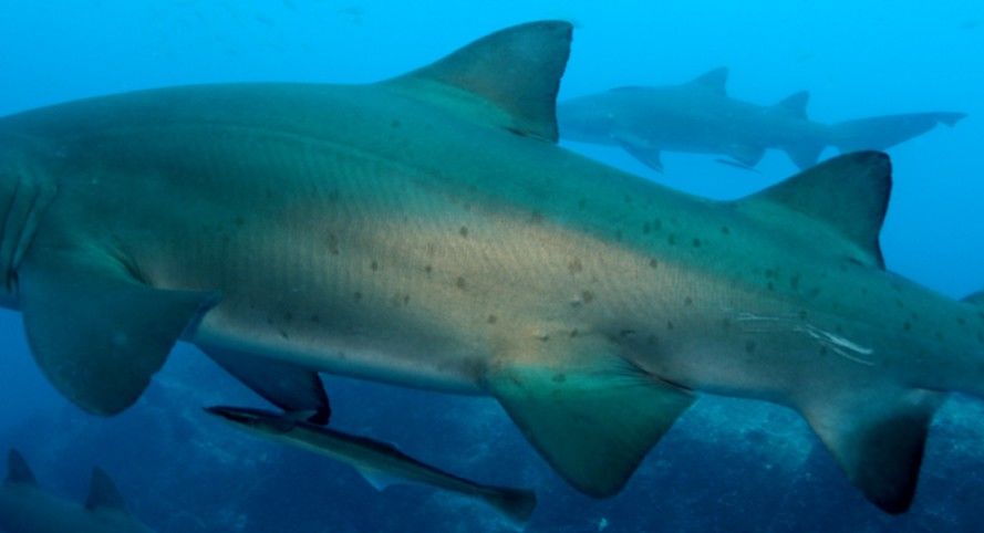 19b84d2b-bbff-4bd0-a1d4-abd5b17cffb7