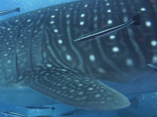 4e25d763-bde2-42c6-b1e5-0cacb3681d64