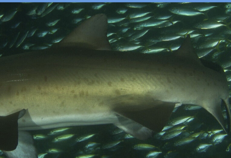 95f6b9e7-eaa1-4be4-a5ee-162bc062a873