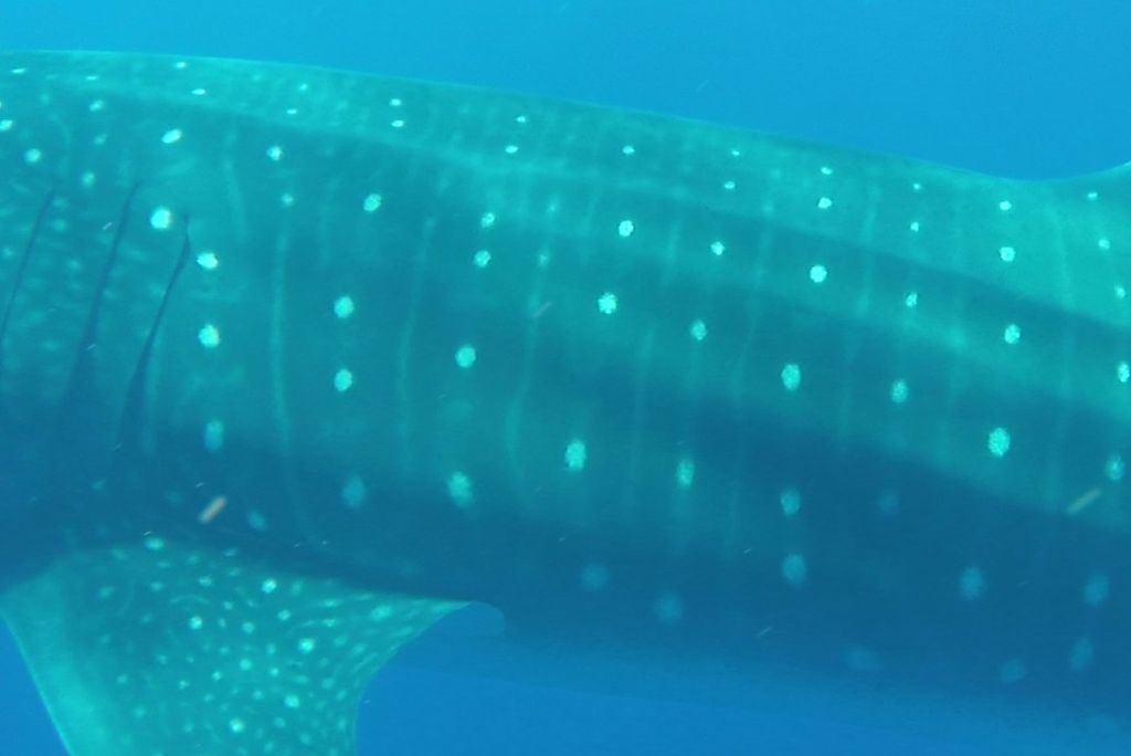 0210a40d-1271-4238-b1a4-da7631f42358