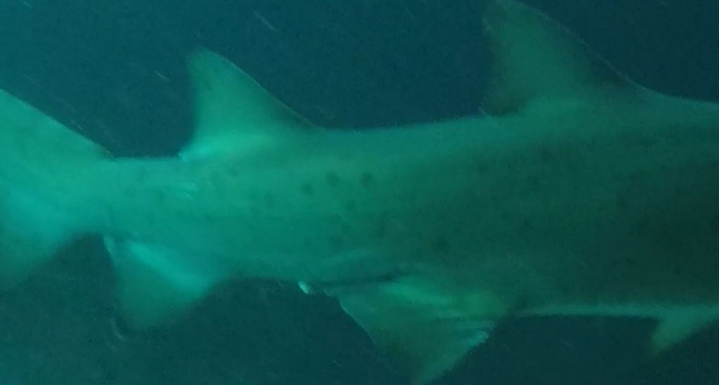 0c1cec58-42c0-4473-a46e-f40a3a9368b4