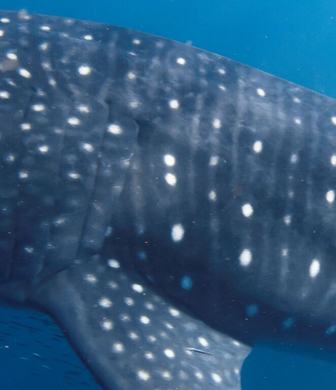 f6f24a60-c037-4c1d-9045-2d7a2fb91fd2