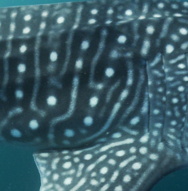 af29cefc-cb5d-47f1-8142-546fde1008bc