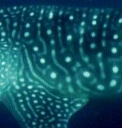 af29cefc-cb5d-47f1-8142-546fde1008bc