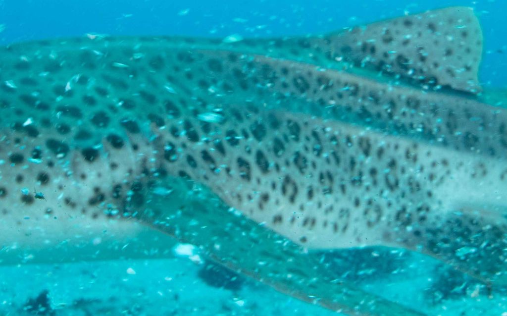 11f62a93-99a3-4254-b373-e55677bc372f