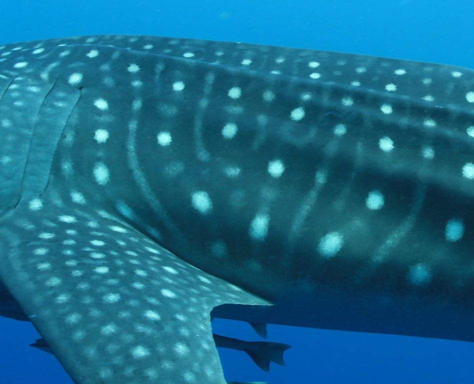 23de9cf0-7b5c-4199-b451-d178b23acf81