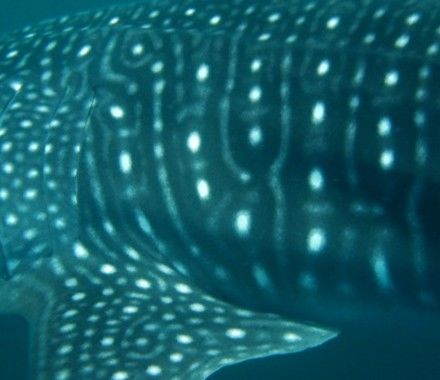 712b71c3-e829-490a-9eaf-b825986949e2