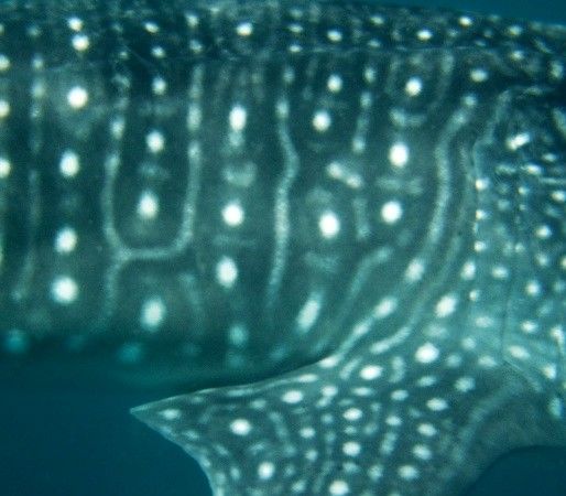 712b71c3-e829-490a-9eaf-b825986949e2