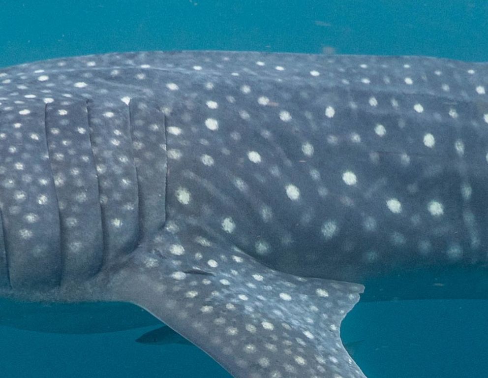 210f7503-c67f-4bee-afe7-e63a18025078