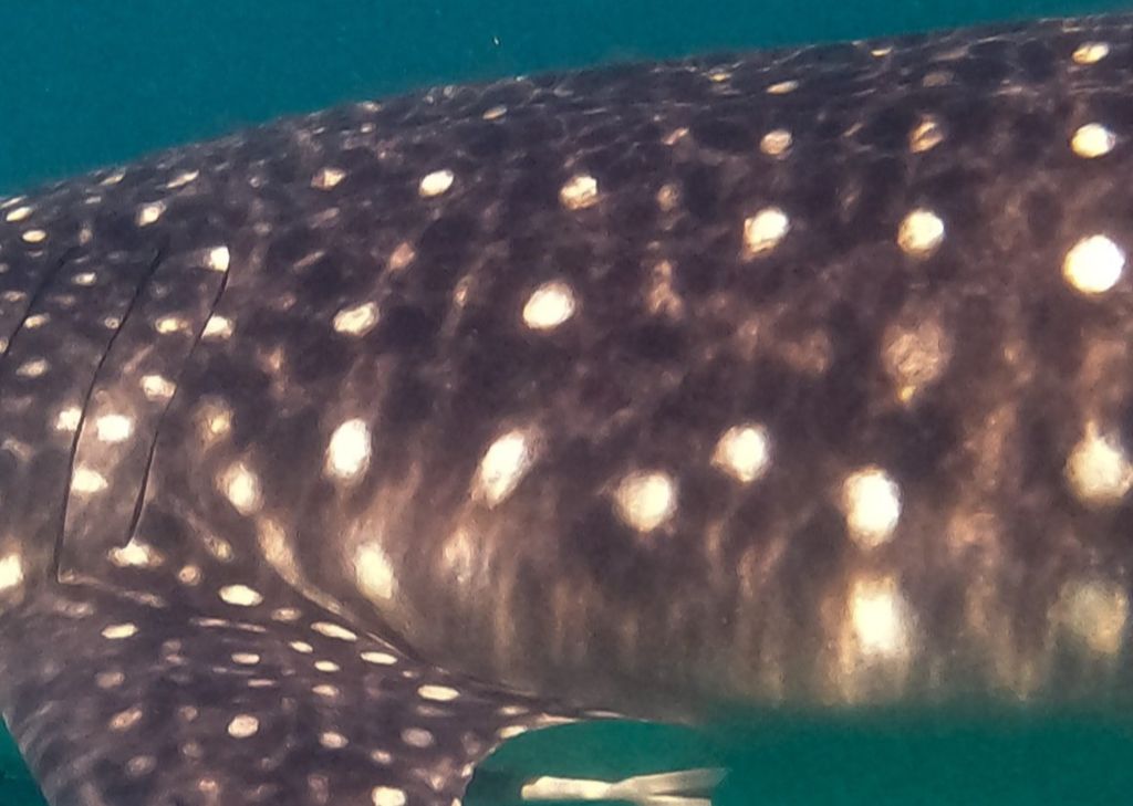 28836b39-3a4c-41c6-97e5-b05590676e04