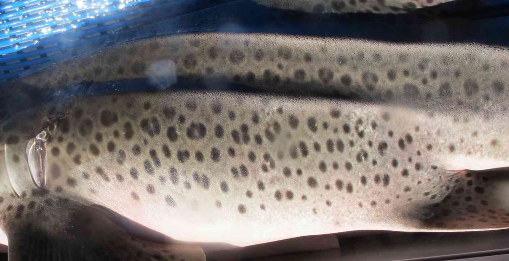 28cec9bc-9396-45da-9ec3-9744b64ebd15