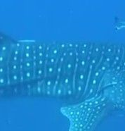 4ec61fb7-be7d-4b20-83d5-7865851c4506