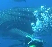 4ec61fb7-be7d-4b20-83d5-7865851c4506