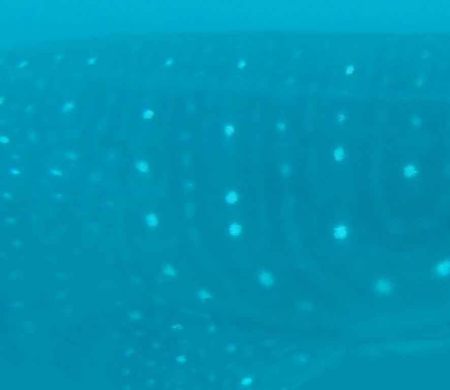 61db70eb-8ab4-4fe3-b012-908501f483d7