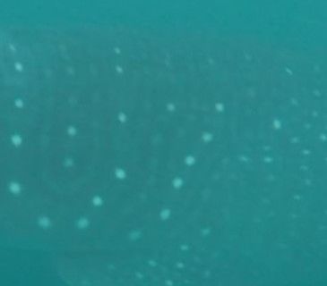 61db70eb-8ab4-4fe3-b012-908501f483d7