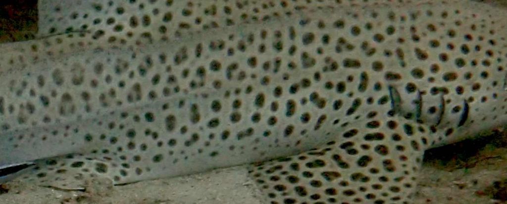 d26cfdac-9e90-4862-a0ad-cc0ef1363fdd