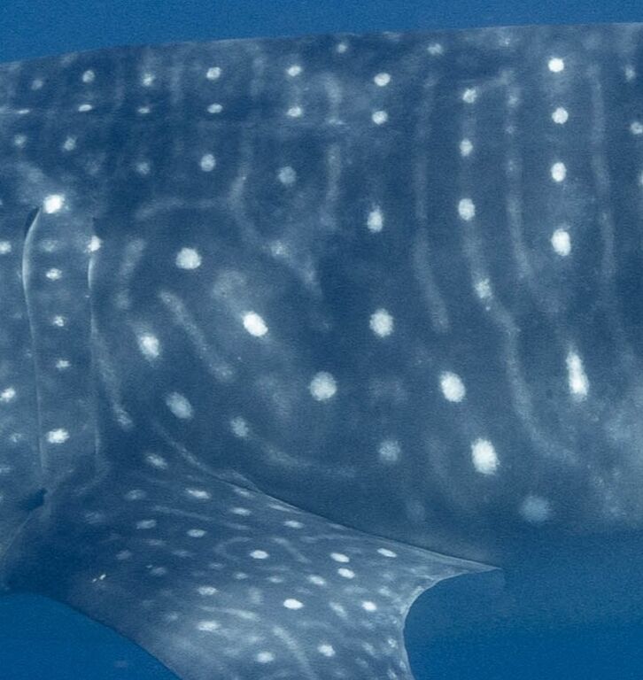 e0d1cc74-13e2-4d2a-8a40-7b16917fd55d