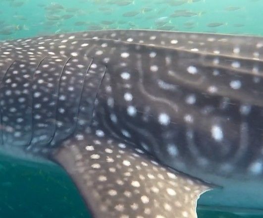 5a9ad49f-f272-47bd-a337-5f6253cb1c80