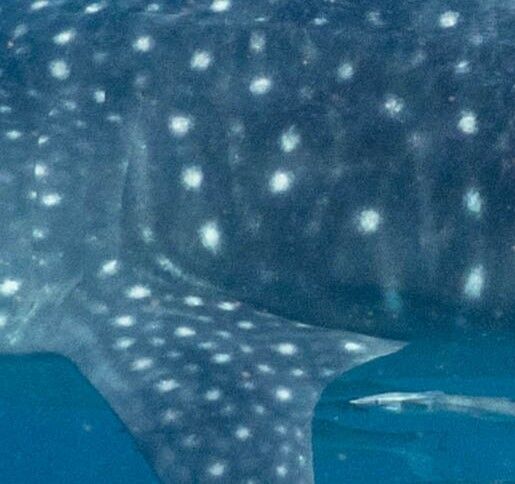 2d870c83-b321-4505-ad02-479b5b12bfa0