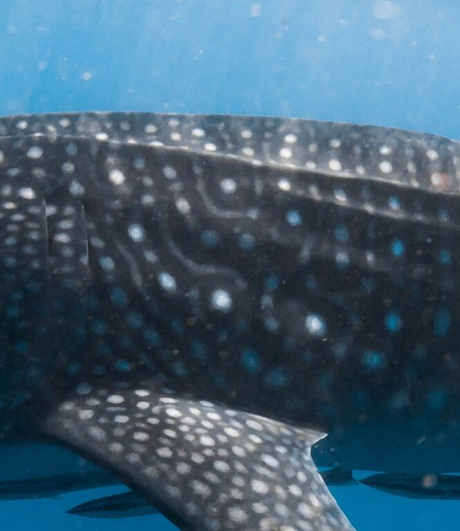 c9bf7e4e-8d5c-431c-b9e6-99a9f3adebae