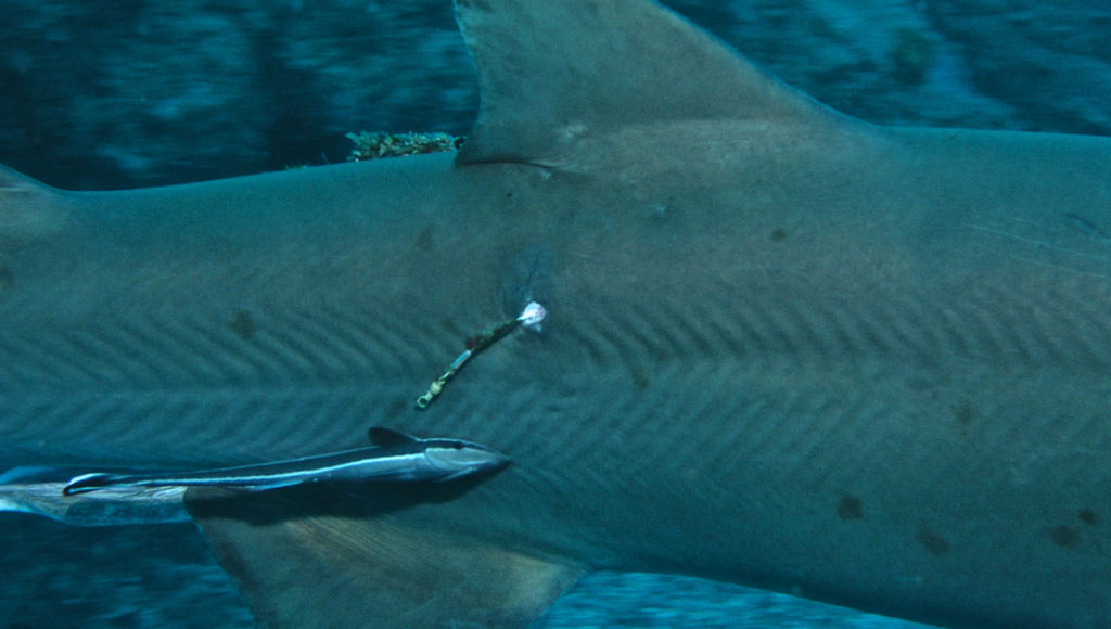 45cc2163-6102-480d-aee2-eb5da84975b0