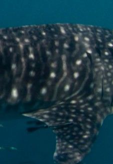 53431f87-b82a-4bd3-8d95-bca1daf21245